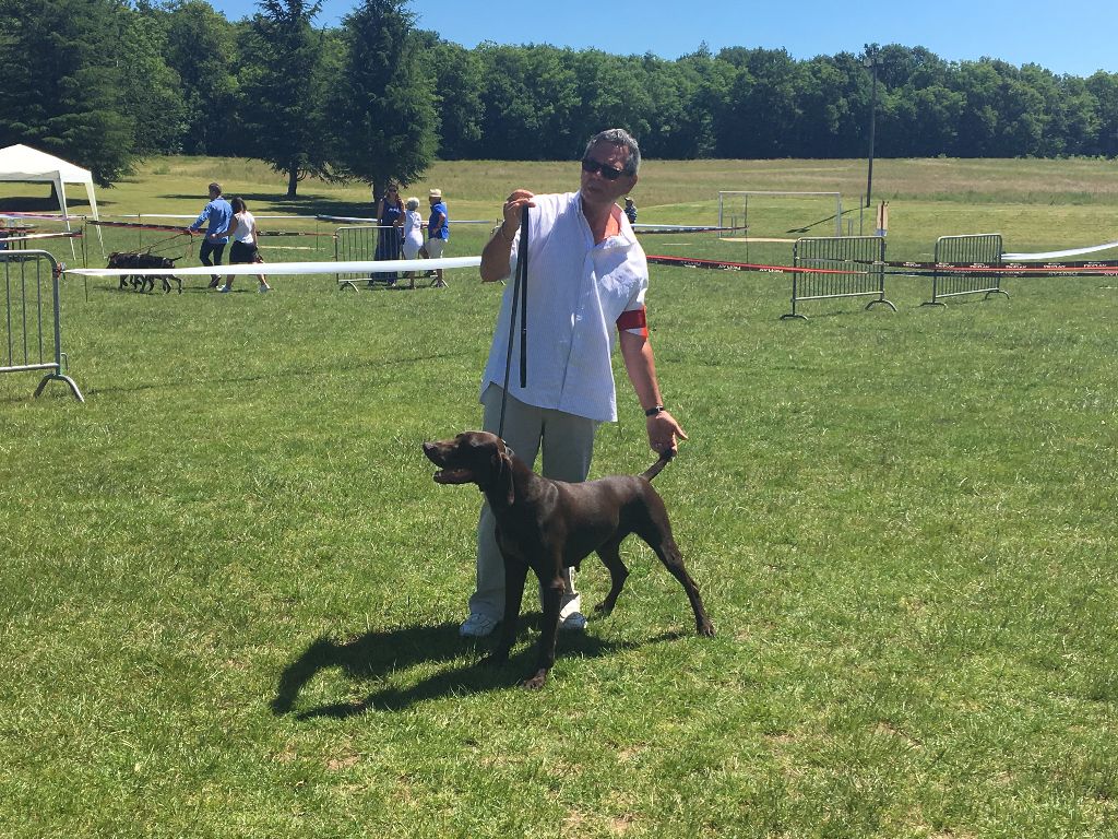 du Coteau de Saveton - 1er EXC en Régionale d'elevage au Game fair